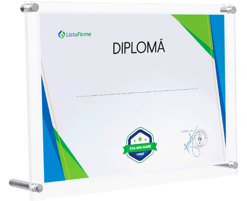 diploma cea mai mare firma din romania, uat municipiul carei, domeniul 4532: comert cu amanuntul de piese si accesorii pentru autovehicule