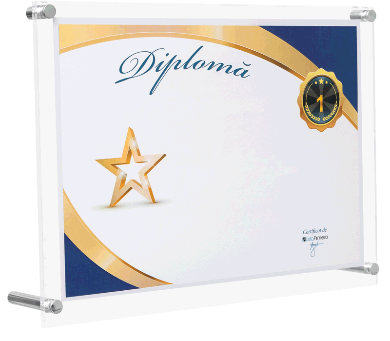 diploma locul 1 in top profit romania, localitatea paulesti, domeniul 46: comert cu ridicata cu exceptia comertului cu autovehicule si motociclete