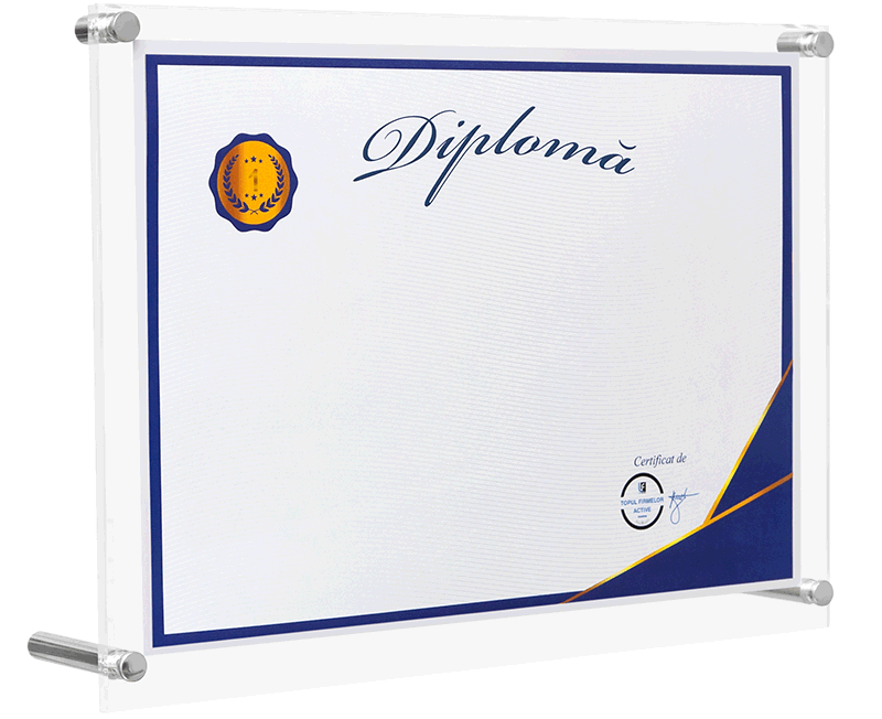 diploma locul 1 in top profit romania, judetul satu mare, domeniul 4631: comert cu ridicata al fructelor si legumelor