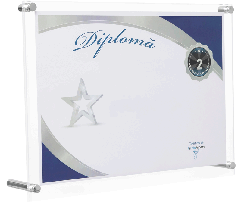 diploma locul 2 in top afaceri romania, localitatea botiz, domeniul 31: fabricarea de mobila