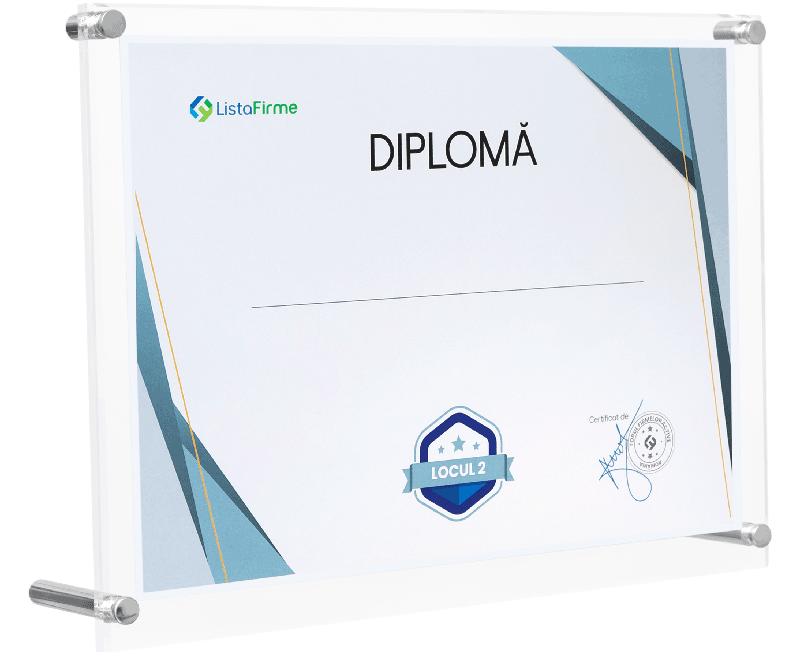 diploma locul 2 in top profit romania, uat municipiul carei, domeniul 4532: comert cu amanuntul de piese si accesorii pentru autovehicule