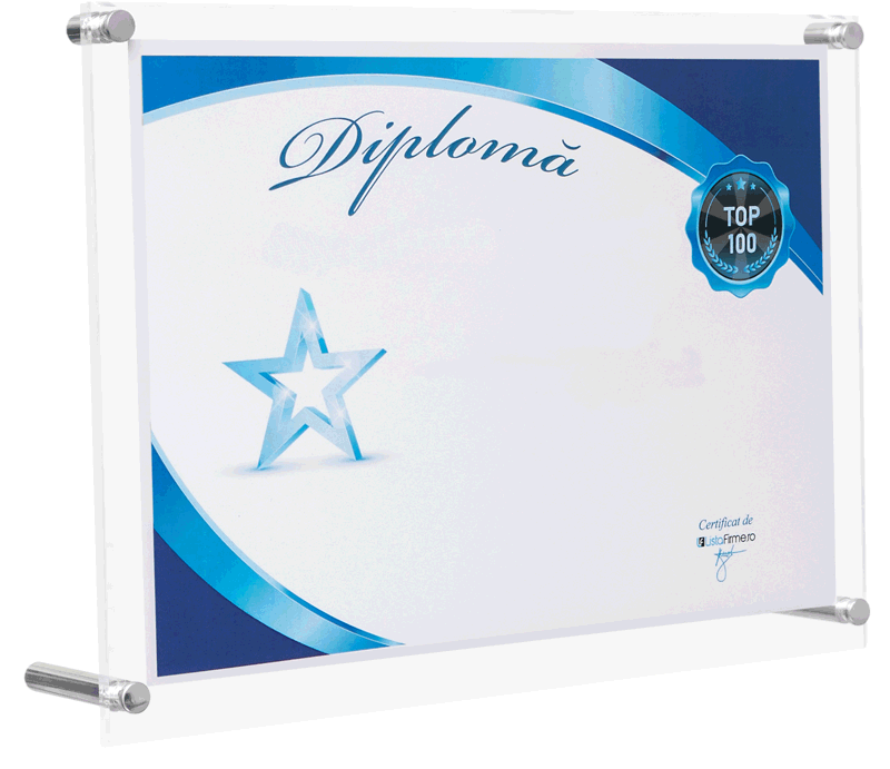 diploma firma in top 100 profit romania intreprinderi foarte mari