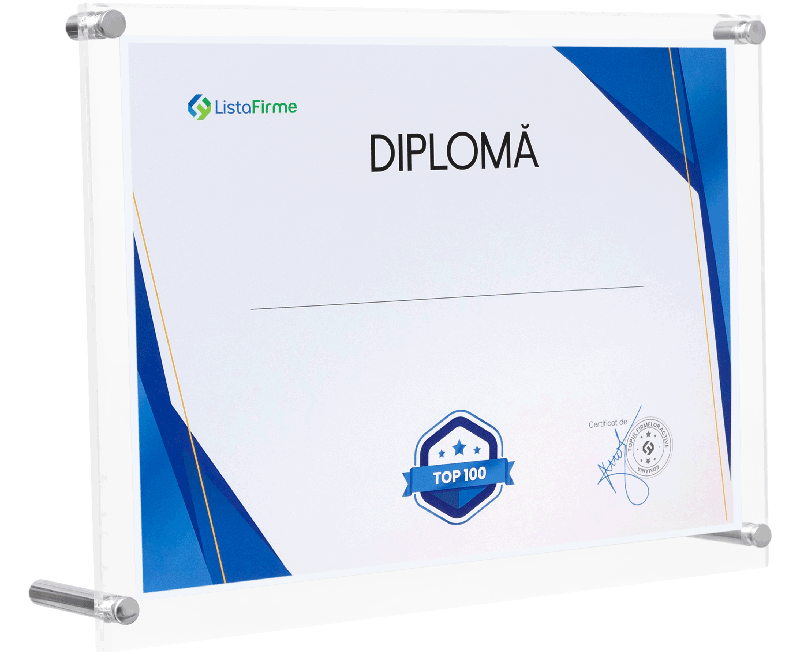 diploma firma in top 100 profit romania microintreprinderi