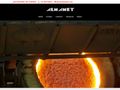 almametsrl