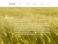 bmgconsulting