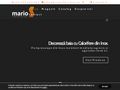 calorifer-inox