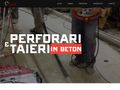 carotari