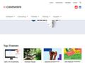 caseware