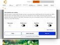 cieautomotive