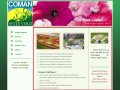 coman-spatiiverzi