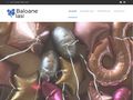 decoratiunicubaloane