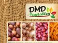 dmdveg