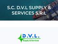 dvl-ss