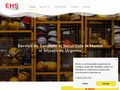 ehsconsulting