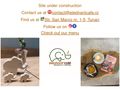 elephantcafe