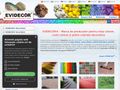 evidecor