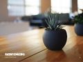 evidentconsulting