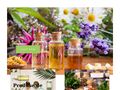 herbal-therapy