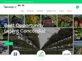jobopportunityuk