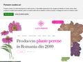 luca-perene