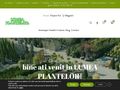 lumea-plantelor
