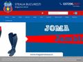 magazinsteaua