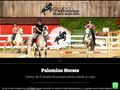 palomino