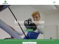 parbrize-dexiz