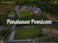 pomicom