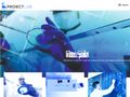 proiect-lab