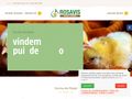 rosavis