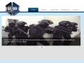 sfiddsecurity