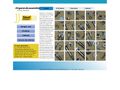 steelfasteners