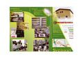 sycomat