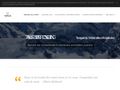 tamusconsulting