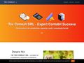 taxconsultsv