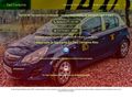 taxincampina