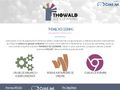 thowaldicecleaning