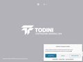 todini