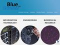 bluescreen