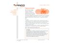 fincoexpert