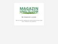 magazin-unelte